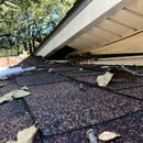 Critter Control - Pest Control Services