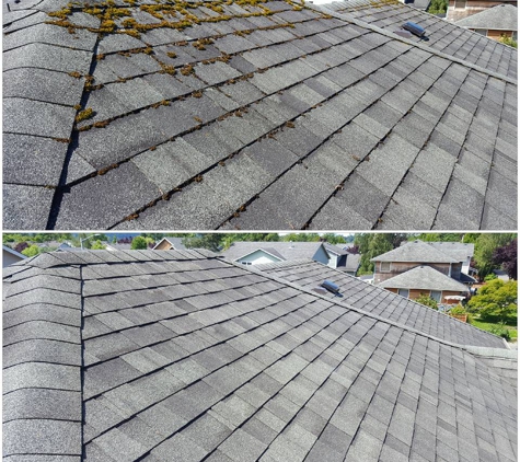 Moss Defender roof and gutter cleaning LLC - Sultan, WA