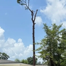 Arbor Tech 904 - Tree Service