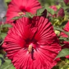 Agway of Cape Cod - Dennis gallery