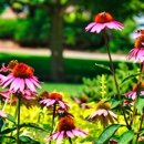 Oakwood Lawn & Landscaping - Landscape Contractors