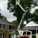 Pete and Rons Tree Service - Arborists