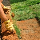 Prolawn Turf & Landscape Management, Inc. - Lawn Maintenance