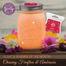 Scentsy Independent Consultant-Rikell Hammer - Candles