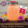 Scentsy Independent Consultant-Rikell Hammer