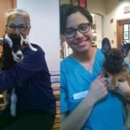 Metairie Small Animal Hospital - Freret Clinic - Veterinary Clinics & Hospitals