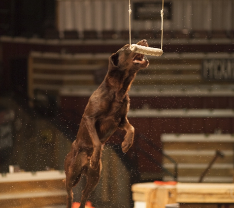 The Lumberjack Feud - Pigeon Forge, TN