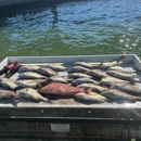 Top Tier Charters - Fishing Charters & Parties