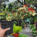 MiMo Garden Center - Farms