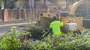 Action Tree Service, LLC - Tree Service