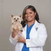 CityVet | Preston Park gallery