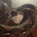 Reptile Outpost - Pet Stores