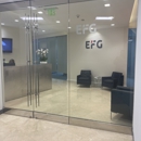 Efg - Investment Advisory Service