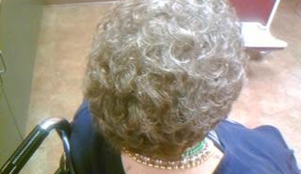 Taylor's Bold and Beautiful Salon Care Services - Memphis, TN