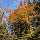 Cascade River State Park