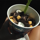 Menchie's Frozen Yogurt - Yogurt