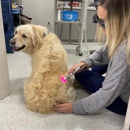 Kelsey Canine Medical Center