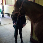 Bethpage Equestrian Center