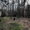 Stump Away Landscaping gallery