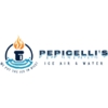Pepicelli's Ice Air & Water gallery