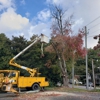 R & A Tree Service gallery