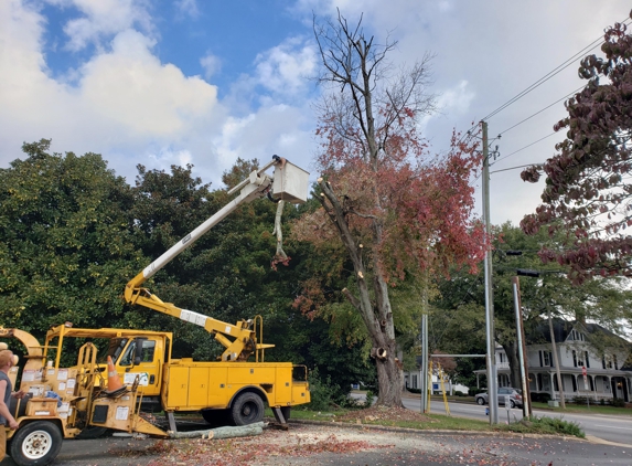 R & A Tree Service - Gainesville, GA