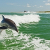 Holiday Inn & Suites Clearwater Beach S-Harbourside by IHG gallery