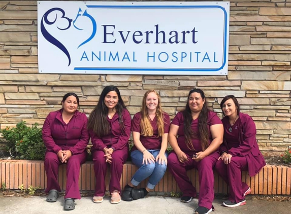 Everhart Animal Hospital - Corpus Christi, TX