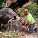 Advanced Tree Management