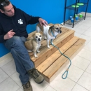 Hounds Town Commack Rd - Kennels