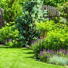 Excellent Landscaping Design and Maintenance LLC