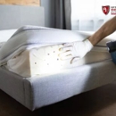 Bed Bug Exterminator Racine - Pest Control Services