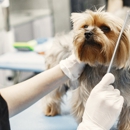 Splash and Dash Groomerie & Boutique - Pet Services