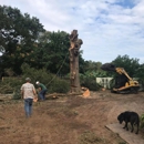 Advanced Tree Service - Tree Service