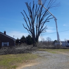 A-1 Tree Service and Landscaping