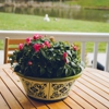 Charter Senior Living of Cookeville gallery