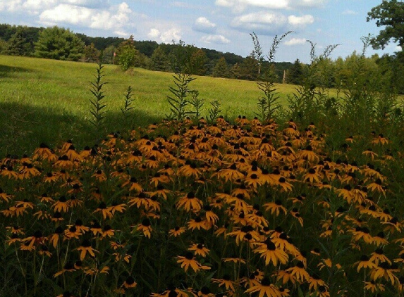 Hi-Level Golf Course - Kossuth, PA