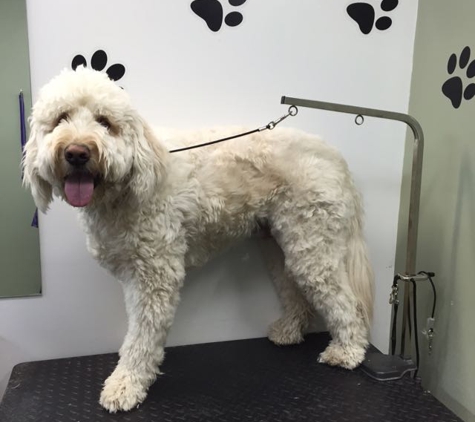 Spot On Pet Grooming - White Lake, MI