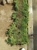 A View Turf - Turf & Lawn Suppliers
