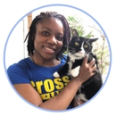 Cozy Cats Veterinary - Veterinarians