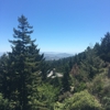 Mountain Home Inn gallery