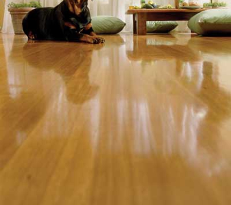 Barrenjoey Timber