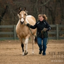 New England Horse Photography - Portrait Photographers