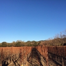Anderson's Conn Valley Vineyards