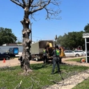 Wood Work Tree Service - Tree Service