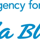 Blue Cross Blue Shield - Dental Insurance