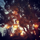 The Chandelier Tree - Historical Places