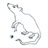 Nemesis Pest Control gallery
