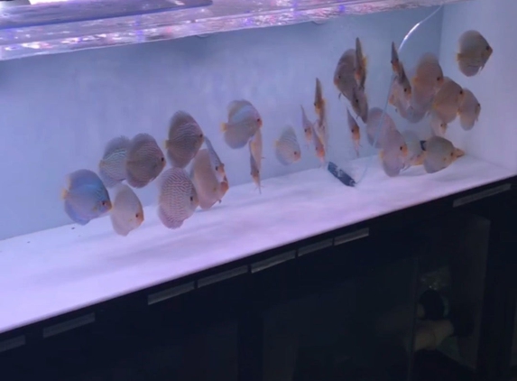 Aqua Life Aquarium Service - Rocklin, CA