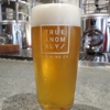 True Anomaly Brewing Company gallery